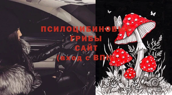 apvp Балабаново