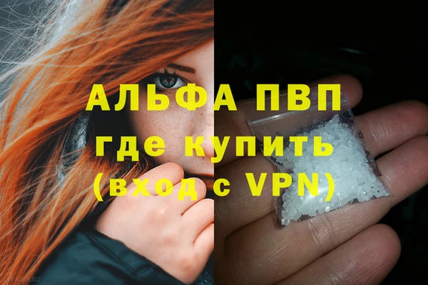 мяу мяу мука Белокуриха