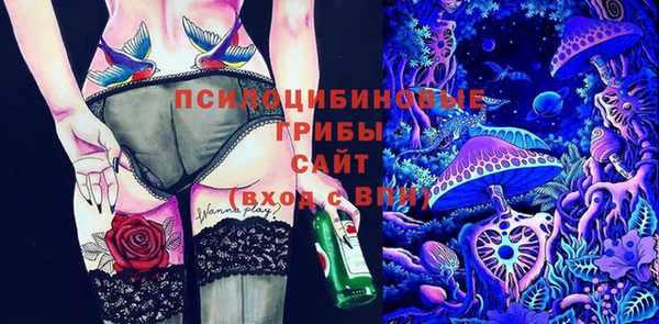 дмт Беломорск